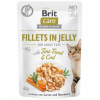 Brit Care Fillets in Jelly with Trout & Cod 85g