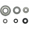 Bosch Súprava vodiacich guľkových ložísk Expert 2608629391