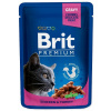 Brit mokré krmivo kuracie mäso 0,1 kg