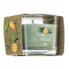 YANKEE CANDLE Sage & Citrus 37 g