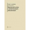 Mezinárodní právo v komentovaných dokumentech - Lukášek Libor