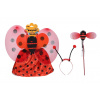 Set karneval Lienka 45x33cm 8590331955060 Wiky