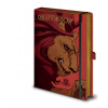 Harry Potter Gryffindor - Chrabromil notes