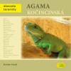 Agama kočinčinská - Abeceda teraristy - Forejt Jaroslav