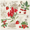 Obrúsky PAW L 33x33cm Summer Fruits