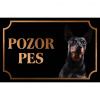 Pražský krysiarik - Kovová tabuľka POZOR PES