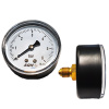 Manometer 0-10 bar zadný - 1/4