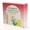 Mucoplant Skorocelové cukríky s medom a vitamínom C 50 g pastilky