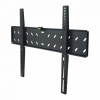 Stell SHO 2021 SLIM