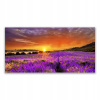 Foto -camera akryl 140x70 Sunset Field Lavender (Foto -camera akryl 140x70 Sunset Field Lavender)