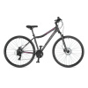 Author BICYKEL AUTHOR HORIZON ASL 2021-22 MATNÁ ŠEDÁ