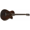 TANGLEWOOD TW4CE BS