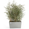 Ecopots Kvetináč Paris (bielo-sivý) - D 80 x H 42 x V 38 cm (100 l)