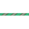BEAL dynamické lano Cobra II Golden Dry 8.6mm 50 m | farba: green