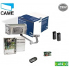 CAME FERNI - set 1x F1000, 1x ZF 1, 1x DIR, 1x AF 43S, 1x TOP 432 EV (CAME FERNI F-1000 set 230V)