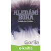 E-kniha Hledání Boha - Miroslav Veverka