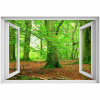 Self -adhézne 3D okno Bukki Forest 90x60 (Self -adhézne 3D okno Bukki Forest 90x60)