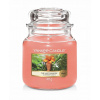 Yankee Candle The Last Paradise 411 g