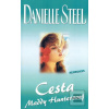 Cesta Maddy Hunterovej (Danielle Steel)