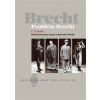 Problém Brecht I - U nás