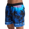 Quiksilver Everyday Printed Volley 15 BYC6/Monaco Blue Thermotropics L