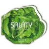Saláty - Kolektív