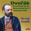 Dvork: String Sextet, Op. 48/String Quintet, Op. 77/... (CD / Album)