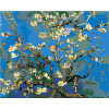 Maľovanie podľa čísel – Jarné kvety, 50 × 40 cm, bez rámu a napnutého plátna 8596530015208