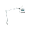 LED lampa s lupou Delmos, s upínacou svorkou, biela