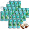 24 X NÁPOJ V PLECHOVKE COCONAUT V PLECHOVKE SÝTENÝ Z MLADÉHO KOKOSU 320 ML