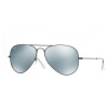 Ray-Ban Aviator RB3025 029/30
