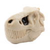 Dino Puzzle Figure in Skull 5g Tyranosaurus Rex