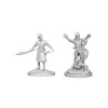 Dungeons & Dragons Nolzur's Marvelous Miniatures - Tiefling Warlock Male 2-pack, 4 cm
