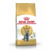 Granule pre mačky - Royal Canin British Shorthair 34 Suché jedlo 4 kg (Royal Canin British Shorthair 34 Suché jedlo 4 kg)
