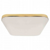 Stropné svietidlo, lampa - Milagro EK7792 Nemo Gold 17W LED PLAFOND (Milagro EK7792 Nemo Gold 17W LED PLAFOND)