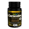 Carnosine komplex 900 mg SALUTEM tbl 1x60 ks