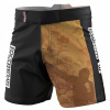 Extreme Hobby MMA šortky Athletic Golden Warrior L