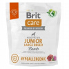 Brit Care Hypoallergenic Junior Large Breed Lamb 1 kg