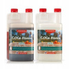 Hnojivo - Canna Cogr Flores A / B 2x 1L - fáza kvitnutia (Hnojivo - Canna Cogr Flores A / B 2x 1L - fáza kvitnutia)