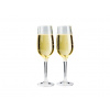 GSI Outdoors Nesting Champagne Flute Set