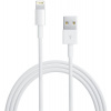 Apple Lightning to USB Cable (2 m) / SK MD819ZM/A