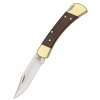 Buck Model 110 Folding Hunter