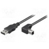 Kabel USB 2.0 USB A vidlice, USB B úhlová zástrčka 3m černá
