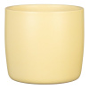 Obal 900 Gentle Yellow mat 13 /JARO 2025/ - 5 ks