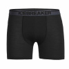 ICEBREAKER M Anatomica Boxers, BLACK 2024 - S