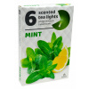 Admit Tea Lights Mint 6 ks