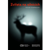 Zvířata na silnicích
