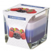 Bispol Forest Fruits 170 g