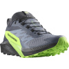 Salomon Sense Ride 5 GTX M L47312800 - flint stone black green gecko 49 1/3