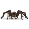 Schleich Schleich Harry Potter - Aragog OLP102613987